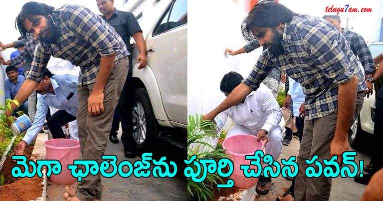 Pawan Kalyan Accepts Chiru's Challenge