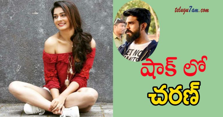 payal rajput next movie updates