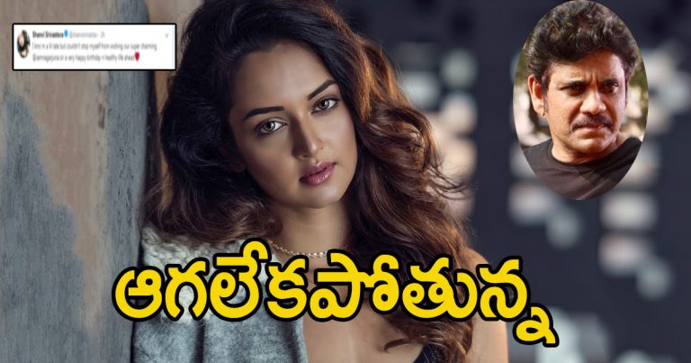 shanvi srivastava tweets about nagarjuna