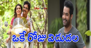 Big surprise to ntr, akkineni fans
