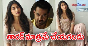 Pooja Hegde Big Hopes On NTR