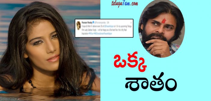 poonam pandey shocking comments on pawan kalyan