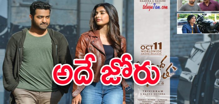 Aravindha Sametha 2 days collections