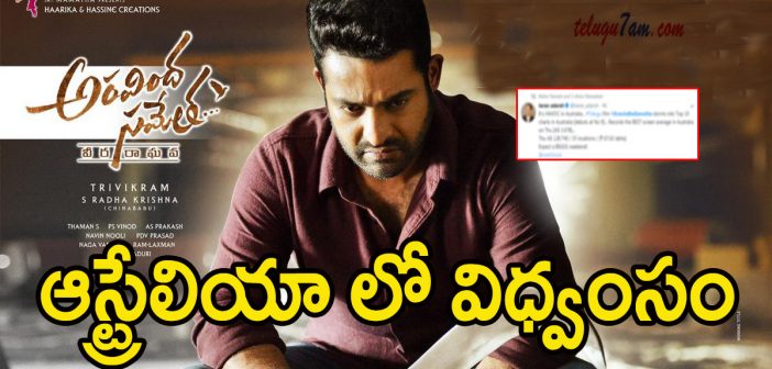 Aravindha sametha roars at australia box office