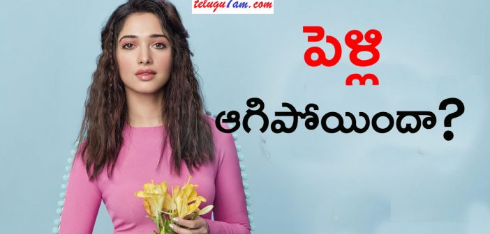 Latest update about Tamannaah's marraige