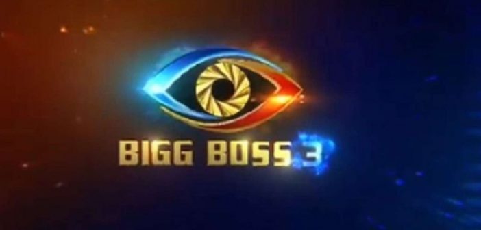 Love birds in Bigg boss 3
